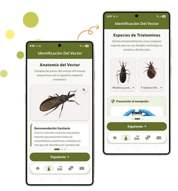 About-Chagas-Image